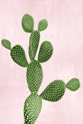 Picture of CACTUS ON PINK VII