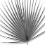 Picture of PALM BLACK AND WHITE III