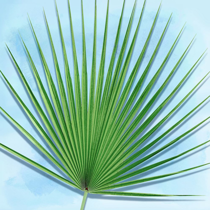 Picture of PALM ON BLUE III