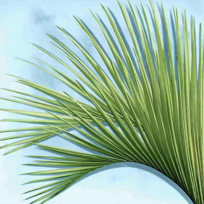 Picture of PALM ON BLUE IV