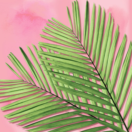 Picture of PALM ON PINK I