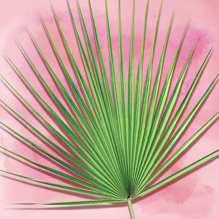 Picture of PALM ON PINK III