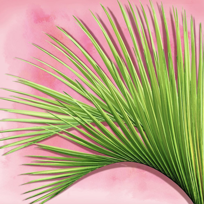 Picture of PALM ON PINK IV
