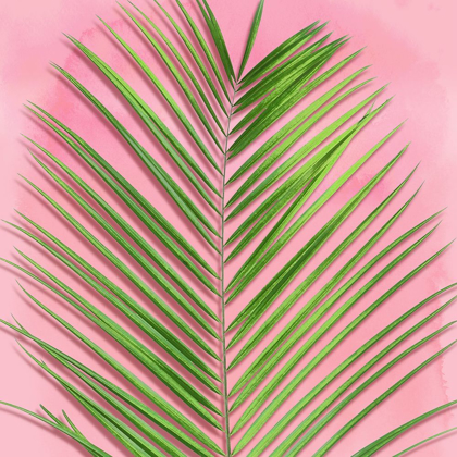 Picture of PALM ON PINK V