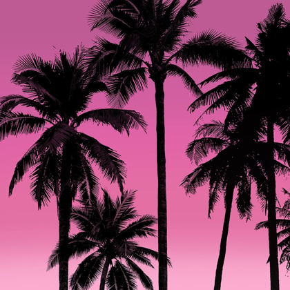 Picture of PALMS BLACK ON PINK I