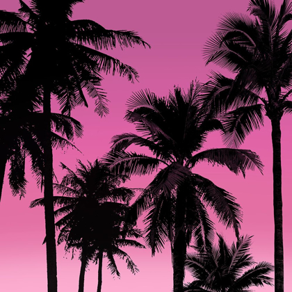 Picture of PALMS BLACK ON PINK II