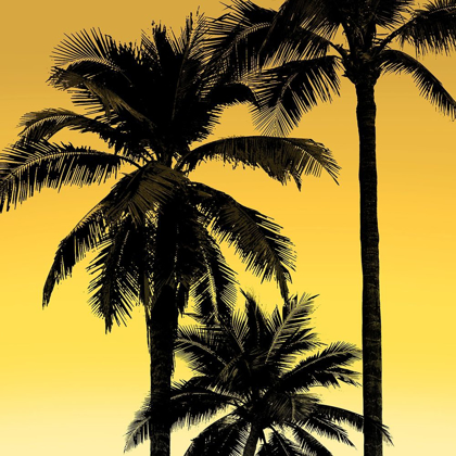 Picture of PALMS BLACK ON YELLOW I