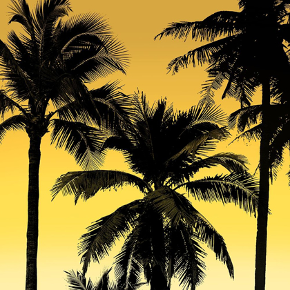 Picture of PALMS BLACK ON YELLOW II
