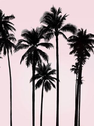 Picture of TALL PALMS BLACK ON PINK I