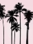 Picture of TALL PALMS BLACK ON PINK I