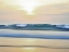 Picture of WAVES