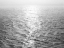 Picture of OPEN SEA II