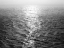Picture of OPEN SEA III