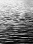 Picture of OCEAN CURRENT BW I