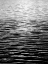 Picture of OCEAN CURRENT BW II