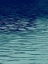 Picture of OCEAN CURRENT BLUE I