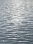 Picture of OCEAN CURRENT II