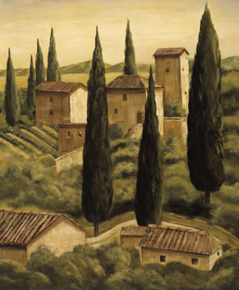 Picture of TUSCAN HILLSIDE II