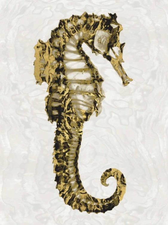 Picture of GOLDEN SEA HORSE II