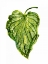 Picture of PALM III