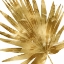 Picture of TROPICAL GOLD PALM IV