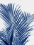 Picture of PALM SHADOWS INDIGO I
