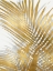 Picture of PALM SHADOWS GOLD I