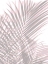 Picture of PALM SHADOWS BLUSH II