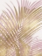 Picture of PALM SHADOWS BLUSH GOLD I