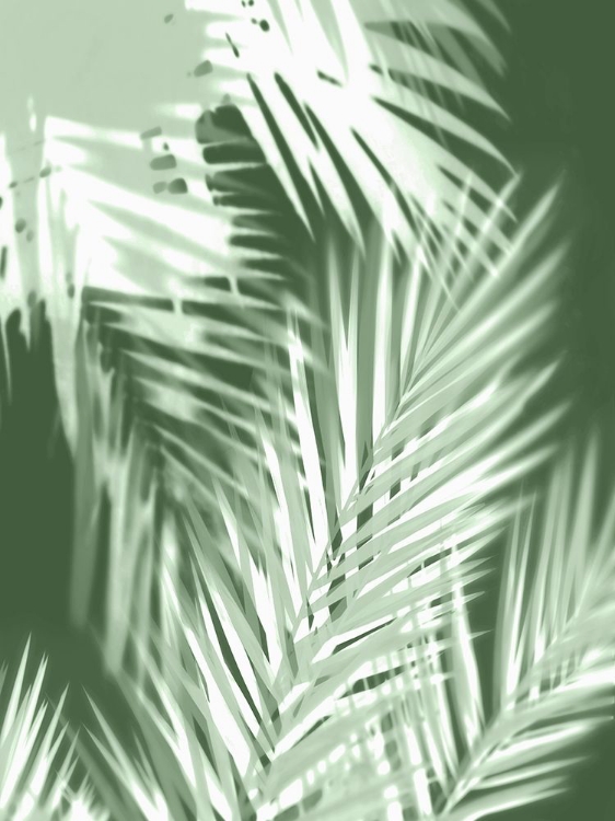Picture of PALM SHADOWS GREEN II