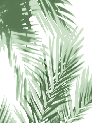 Picture of PALM SHADOWS GREEN IV