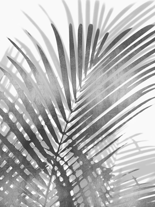 Picture of PALM SHADOWS I