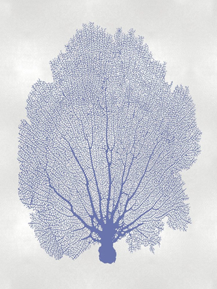 Picture of SEA FAN BLUE II