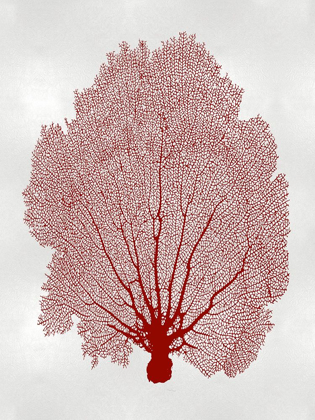 Picture of SEA FAN CORAL II