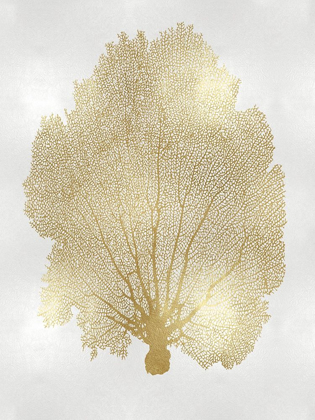 Picture of SEA FAN GOLD II