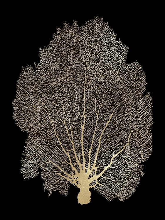 Picture of SEA FAN GOLD ON BLACK II