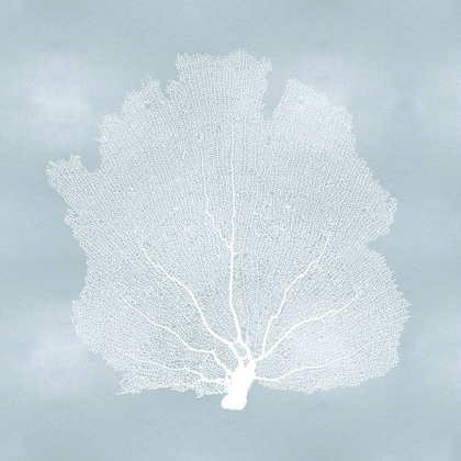 Picture of SEA FAN ON AQUA I