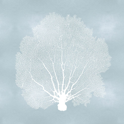 Picture of SEA FAN ON AQUA II