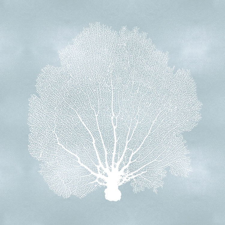 Picture of SEA FAN ON AQUA II