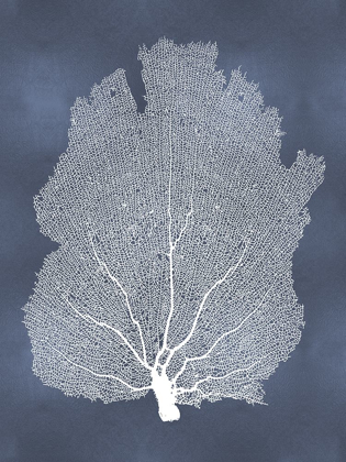 Picture of SEA FAN ON BLUE I