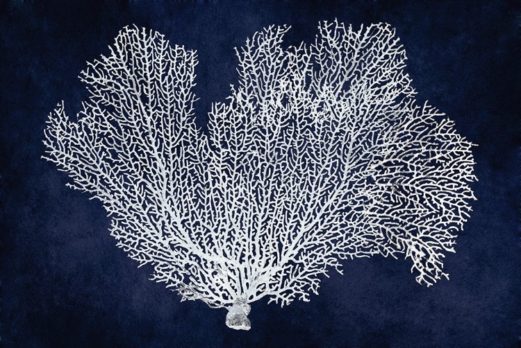 Picture of SEA FAN ON INDIGO BLUE I