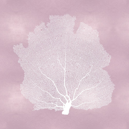 Picture of SEA FAN ON PINK BLUSH I