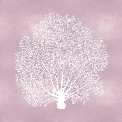 Picture of SEA FAN ON PINK BLUSH II