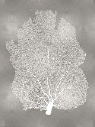 Picture of SEA FAN ON SILVER I