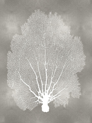 Picture of SEA FAN ON SILVER II