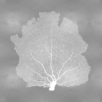 Picture of SEA FAN ON SILVER III