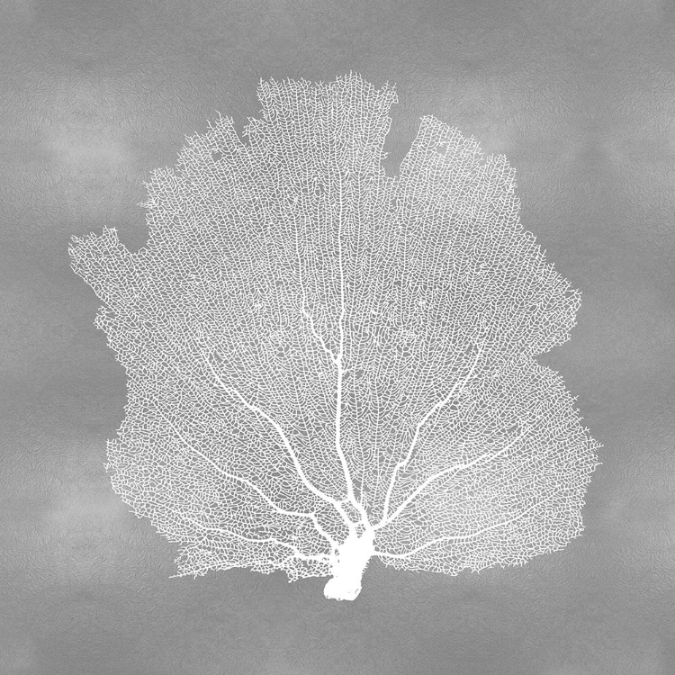 Picture of SEA FAN ON SILVER III