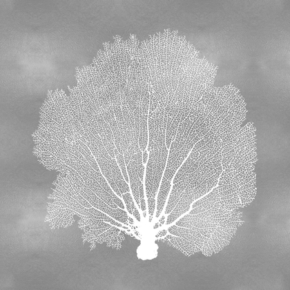 Picture of SEA FAN ON SILVER IV