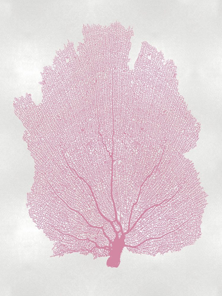 Picture of SEA FAN PINK BLUSH I