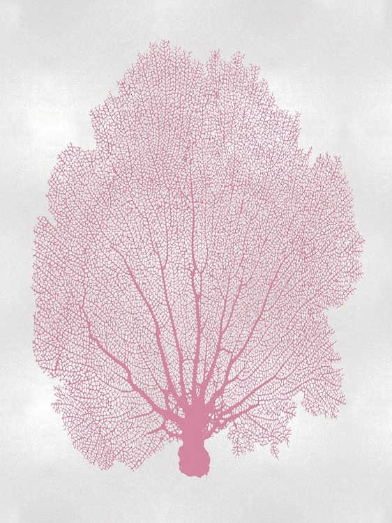 Picture of SEA FAN PINK BLUSH II